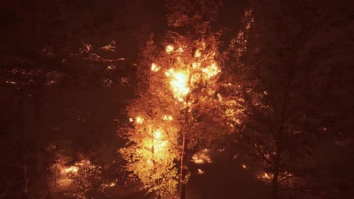 Llamas intensas de un enorme incendio forestal