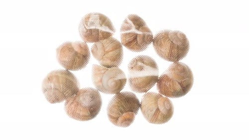Schnecken im Burgunder-Stil verpacken und einfrieren