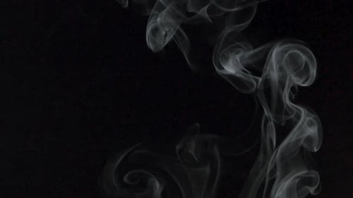 Abstract White Smoke Rising on Black Background