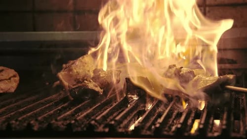 Chef Cooking Meat in Kitchen Grill on Open Fire Closeup