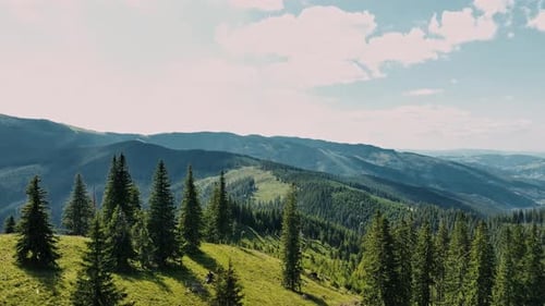 Drone View of Breathtaking Mountain Landscape with Coniferous Trees