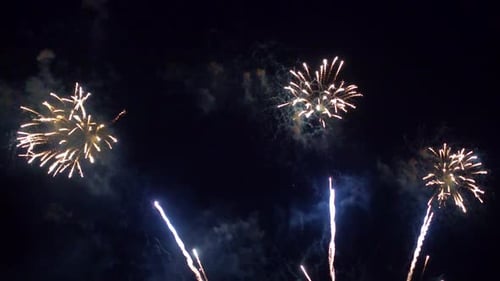 Bright and Colorful Fireworks Exploding in Night Sky