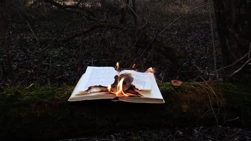 Open Book Burn