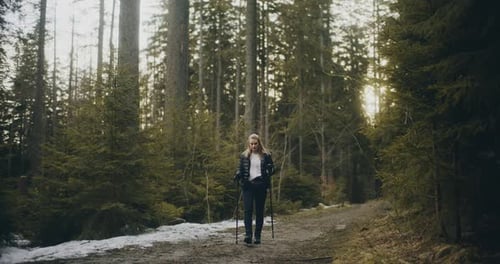 Portrait of Hiker In Mountains Walking in Forest