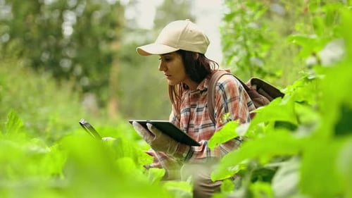 Scientist Examining Plants with Magnifying Glass and Tablet