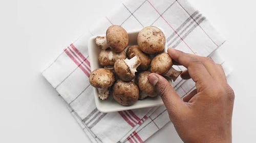 Champignons frais cueillis à la main