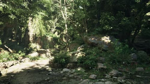A Dirt Road Surrounded By Trees and Rocks