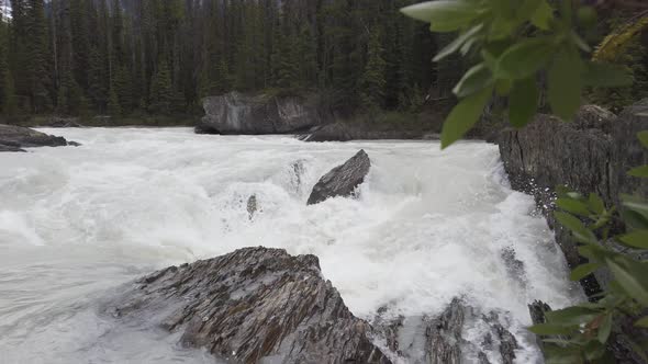 Water converging river close up, Alberta, Canada, Nature Stock Footage ...