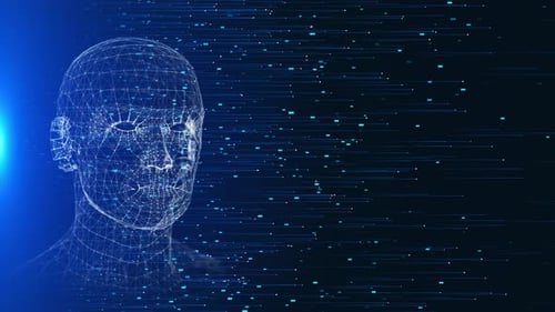 Digital Wireframe Human Head and Flowing Data Stream