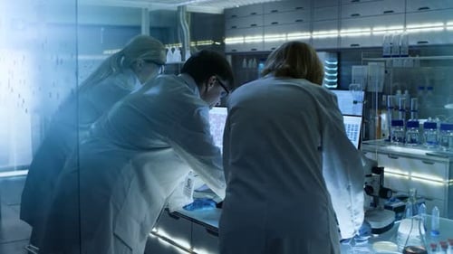 Back View of Team of Senior and Young Scientists Working on Problem Solution. They're Looking for I