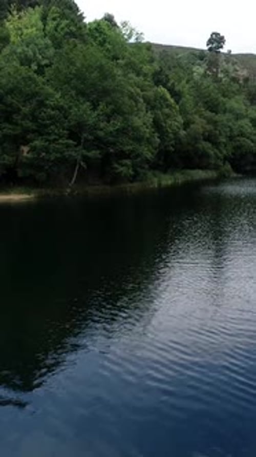 Vertical Video of Calm River And Forested Landscape Aerial View