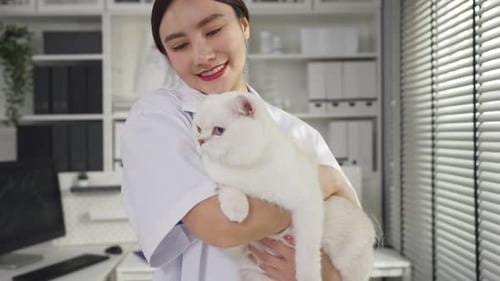 Asian veterinarian examine kitten during checkup at veterinary clinic.