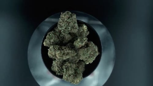 Grayish Green Dried Marijuana Buds view from above, pile of dried marijuana plants in a shiny bowl,