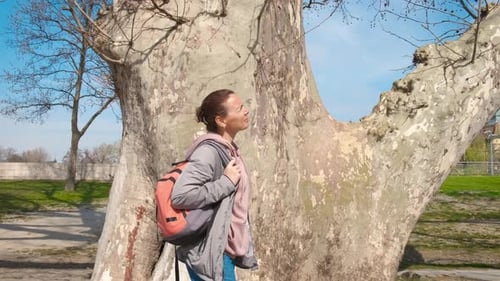 Woman Exploring a Huge Tree on Sunny Day