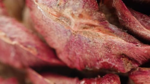 Pine Cone Close Up Macro Forest Wood Nature Background