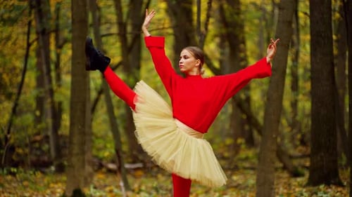 Woman Ballet Dancer in Autumnal Forest