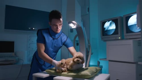 Veterinarian Examining Dog with X-Ray Machine in Hospital