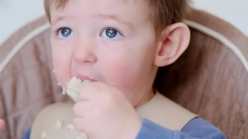 A happy child eats porridge with a spoon while sitting on a high chair. Baby in a bib eats oatmeal