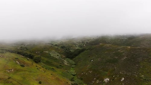 Misty Fog Rolling Over a Lush Green Valley Landscape