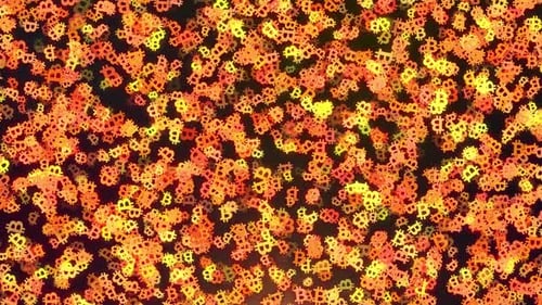 Loop de símbolos de Bitcoin