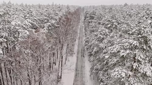 Flying above asphalt road and snow-covered forest in winter, Poland.