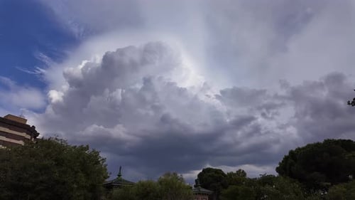 Cloudscape Over Buildings and Trees on a Sunny Day