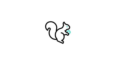 Squirrel Animated Icon