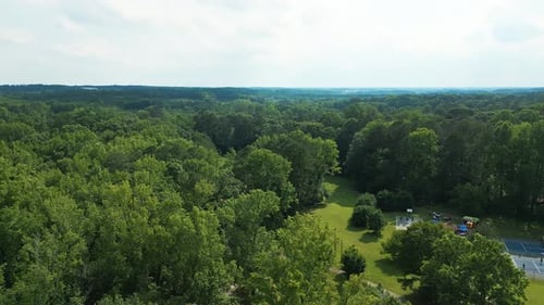 Aerial View Of Verdant Trees In The Forest In Summer.