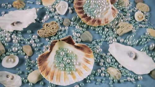 Oyster and scallop shells, sea pebbles and pearls on a blue background underwater