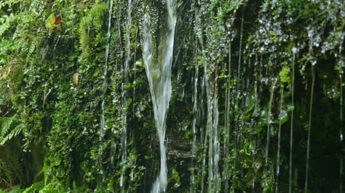Nature's ballet: Close-up of water cascading down a small waterfall in captivating stock footage. Pu