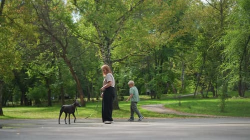 Woman and Child Walking Dog in a Park
