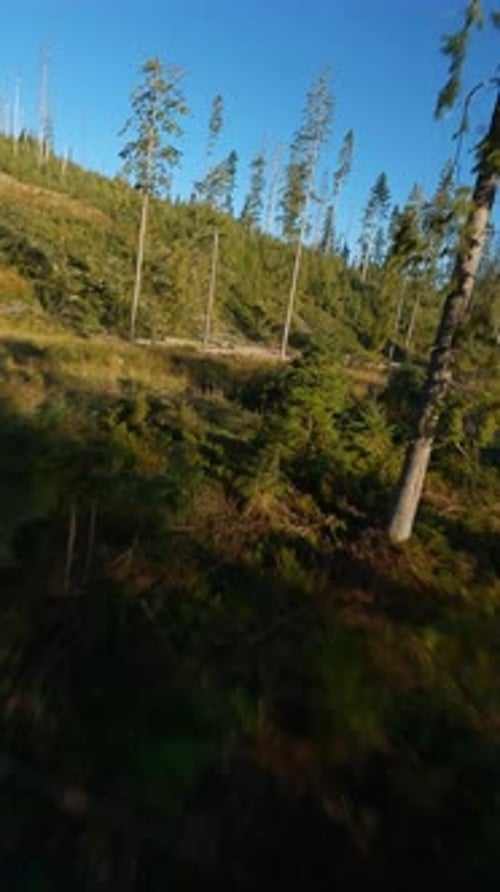 Vertical Video