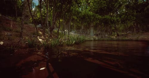 Serene Forest Pond with Lush Greenery and Sunlight Filtering Through Trees