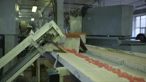 finished caramel candies fall on a conveyor belt in a candy factory