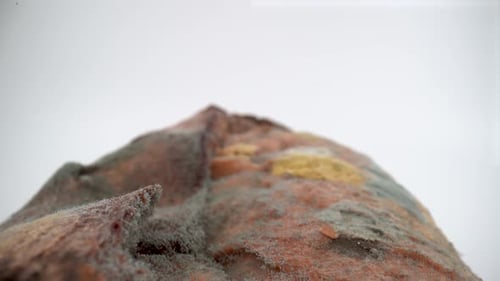 Moldy bread on white background isolated 4K