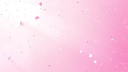 Cherry Blossom Background