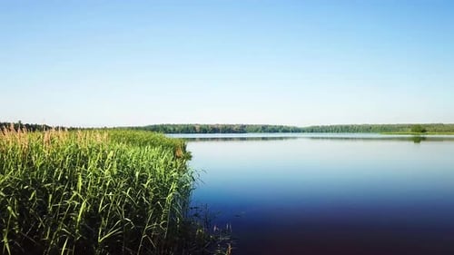 Nature Of Orekhovskoye Lake 28