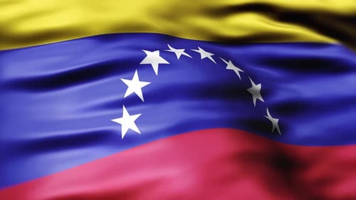 Realistic Waving Venezuela Flag Seamless Loop