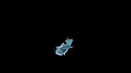 Water Splash Shaped Like a Fish