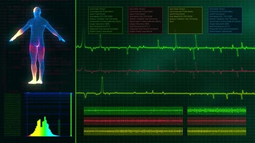 Futuristic Medical HUD Interface with Human Body Scan. Digital Healthcare Monitor Loop.