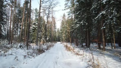 Aerial Winter Sunny Road