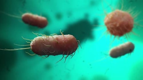 Floating Bacteria and Microbes in Medical Science