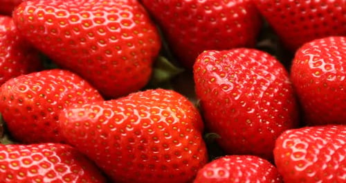 Viele frische reife Erdbeeren als Hintergrund, Nahaufnahme. Kamera dreht sich