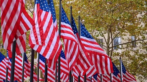 USA Flags Blow in Wind near Building