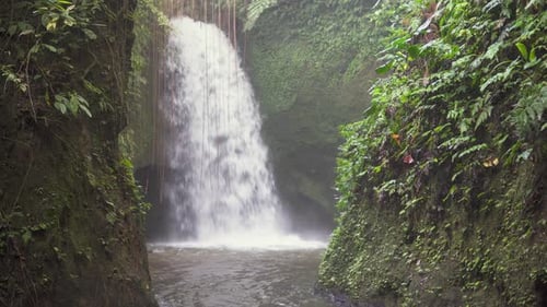 Awesome view of scenic waterfall among tropical forest in Bali