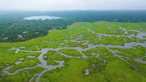 Aerial Footage of Tidal Creeks Flowing Through Cape Cod Wetlands