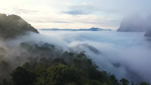 Luftbild der tropischen Berg- und Regenwaldlandschaft im Morgennebel