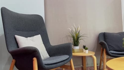 Elegant Gray Armchairs with Accent Table and Plant
