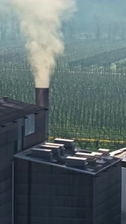 Factory Smokestack Releasing Steam Above Plantation Fields