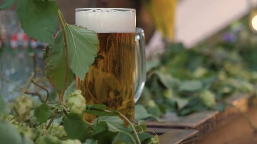 Refreshing Beer Mug with Hops Decoration